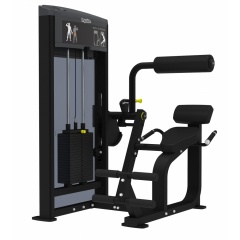 AeroFit IF9332 Разгибание спины из каталога грузоблочных тренажеров в Екатеринбурге по цене 309100 ₽