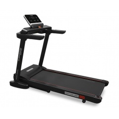 Body Labs Ortholine TZX в Екатеринбурге по цене 159490 ₽ в категории каталог Svensson