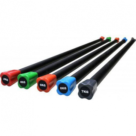 Рендер-0 для Profi Fit 6 кг. синий PFBB6