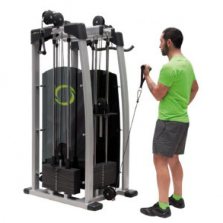 Рендер-1 для FitWorld FW-8700 4-стековая (бицепс/трицепс)