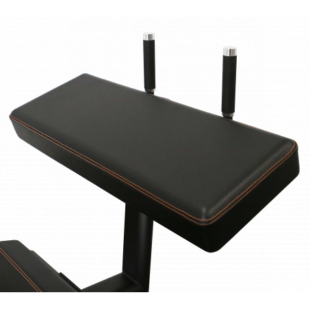 Рендер-8 для Bronze Gym PL-1714 Сгибание ног стоя