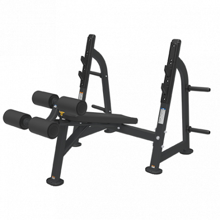 Рендер-0 для Bronze Gym BR-1013 с отрицательным наклоном