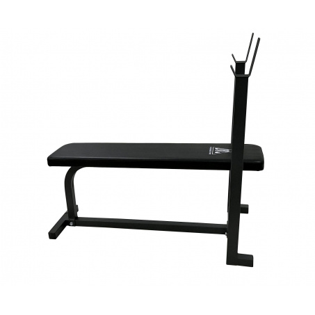 Рендер-1 для DFC Homegym D306