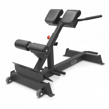 Рендер-0 для Bronze Gym AL-317