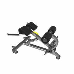 UltraGym UG-KJ1258 из каталога гиперэкстензий в Екатеринбурге по цене 61030 ₽