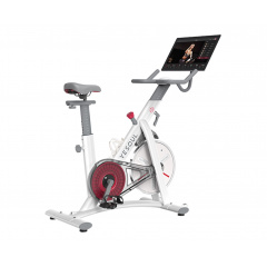 Yesoul BS3-W PRO PLUS из каталога велотренажеров в Екатеринбурге по цене 119000 ₽