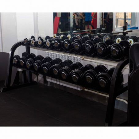 Рендер-1 для Profi Fit Basic 27,5-50 кг (шаг 2,5 кг, 10 пар)