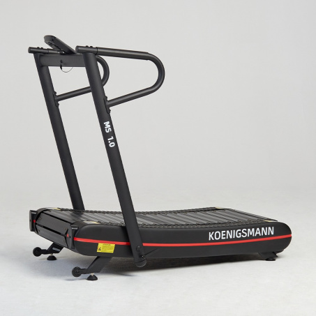 Рендер-2 для Koenigsmann MS1.0