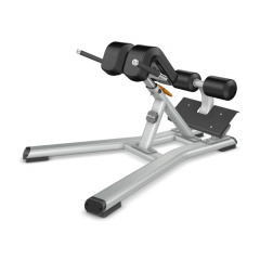 Precor Discovery Line DBR312 из каталога гиперэкстензий в Екатеринбурге по цене 268000 ₽