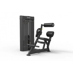 Spirit SP-4609 пресс/разгибание спины из каталога грузоблочных тренажеров в Екатеринбурге по цене 604200 ₽