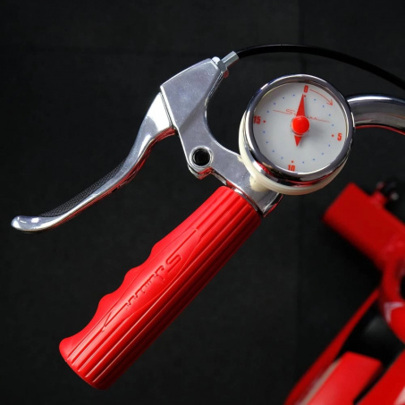 Рендер-21 для Schwinn Classic Cruiser