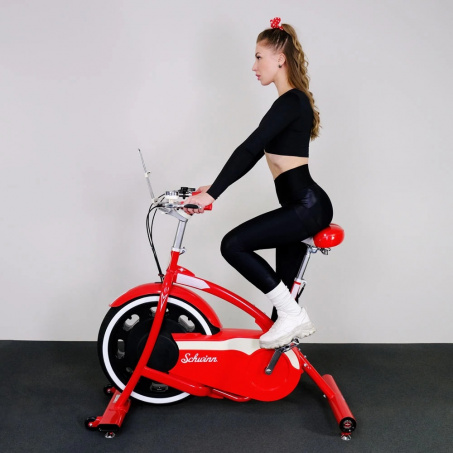 Рендер-15 для Schwinn Classic Cruiser