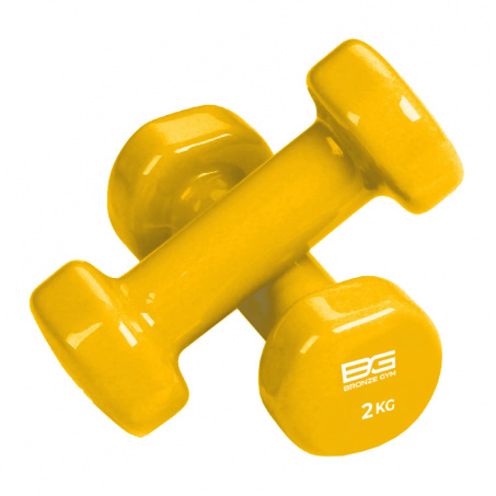 Рендер-0 для Bronze Gym виниловая 2 кг (пара)
