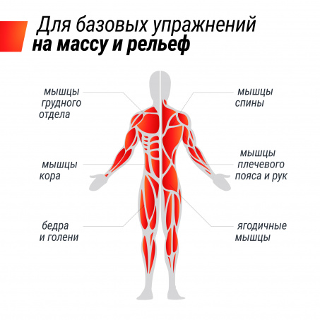 Рендер-10 для UnixFit многофункциональная 3 в 1 (24 кг)