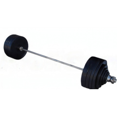 ProfyGym ШП-004 рекордная олимпийская 282.5 в наборе из каталога штанг в Екатеринбурге по цене 134900 ₽