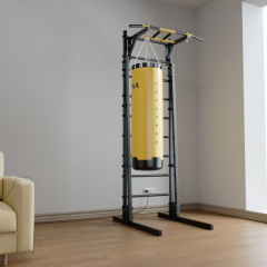 New Age GR1 Premium line в Екатеринбурге по цене 48246 ₽ в категории шведские стенки BarFits