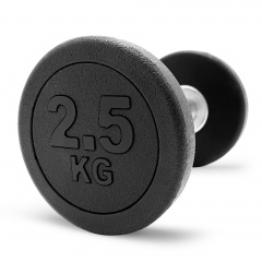 UnixFit PRO круглая 2,5 кг DBRND2_5PBK из каталога обрезиненных гантелей в Екатеринбурге по цене 1090 ₽
