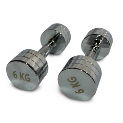 UnixFit PRO круглая 6 кг DBRND6PCE из каталога хромированных гантелей в Екатеринбурге по цене 3290 ₽