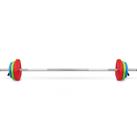 Рендер-0 для Bronze Gym Бодипамп (гриф, весовые диски 2X1,25КГ, 2X2, 5КГ, 2X5КГ, ПАРА ЗАМКОВ)