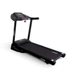 FFT020 в Екатеринбурге по цене 55760 ₽ в категории беговые дорожки Everyfit