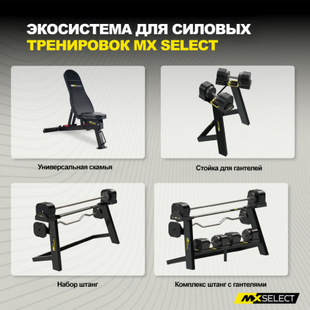 Рендер-11 для MX Select MX125 EVO, 14,2 – 55.9 кг, 2 шт со стойкой