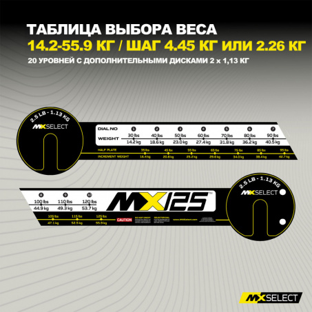 Рендер-6 для MX Select MX125 EVO, 14,2 – 55.9 кг, 2 шт со стойкой
