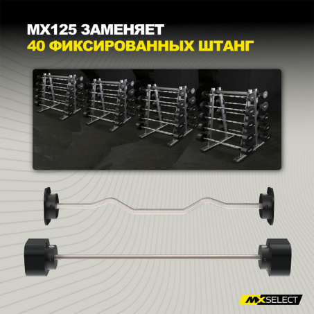 Рендер-4 для MX Select MX125 EVO, 14,2 – 55.9 кг, 2 шт со стойкой
