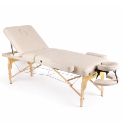 DFC PROFI3 TS312H складной из каталога складных массажных столов в Екатеринбурге по цене 28900 ₽