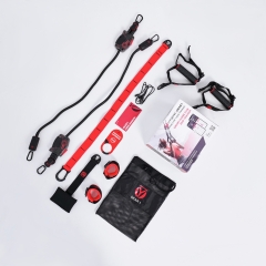 HYROPE HyGear Gear 1 из каталога комплексов для кроссфита и функционального тренинга в Екатеринбурге по цене 11990 ₽
