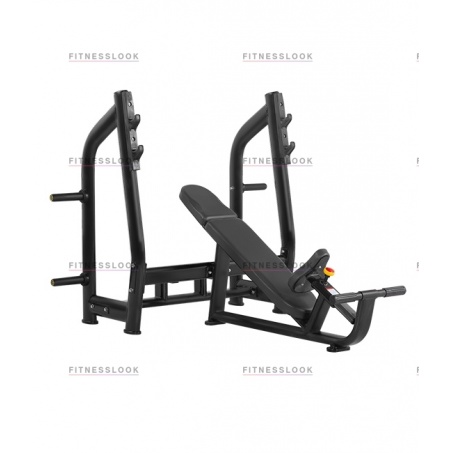 Рендер-1 для Bronze Gym H-025 - со стойками