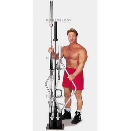 Рендер-0 для Body Solid GOBH-5/OBH-5