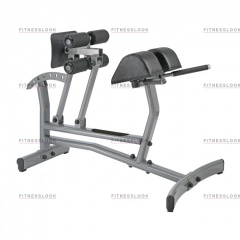AeroFit Neo NRCH из каталога тренажеров римский стул в Екатеринбурге по цене 46150 ₽
