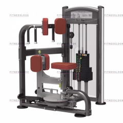 AeroFit IT9318 - вращение торса из каталога грузоблочных тренажеров в Екатеринбурге по цене 194990 ₽