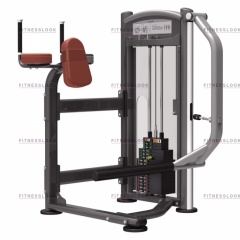 AeroFit IT9326 - ягодичные мышцы из каталога грузоблочных тренажеров в Екатеринбурге по цене 132350 ₽