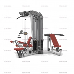 AeroFit ES3000+ES3000OPT с тяговой колонной из каталога мультистанций в Екатеринбурге по цене 549318 ₽