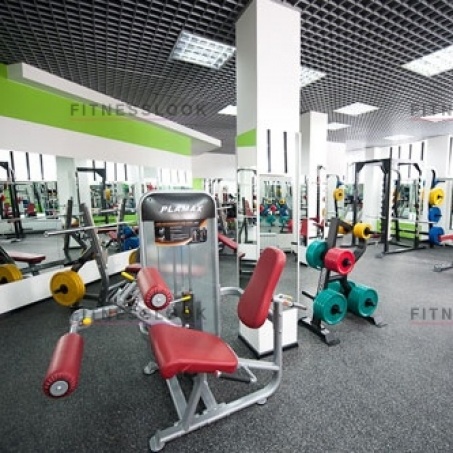Рендер-1 для AeroFit Plamax PL9019 - сгибание/разгибание ног