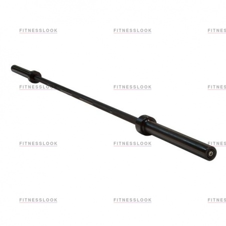 Рендер-0 для Body Solid OB86B