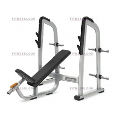 Precor DBR410 - со стойками из каталога скамей со стойкой в Екатеринбурге по цене 162470 ₽