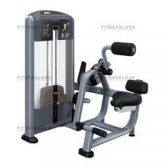 Precor DSL313 - разгибание спины из каталога грузоблочных тренажеров в Екатеринбурге по цене 444810 ₽