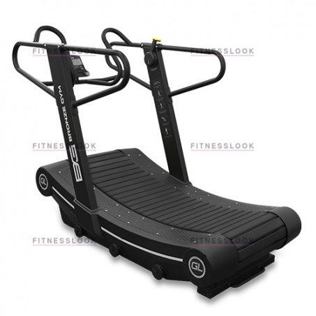 Рендер-0 для Bronze Gym GL