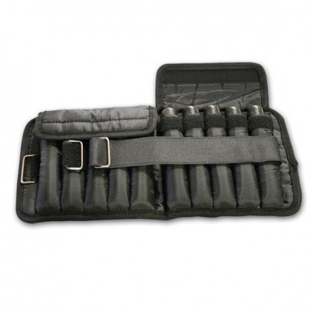 Рендер-0 для Body Solid 2.25 кг, 2 шт.