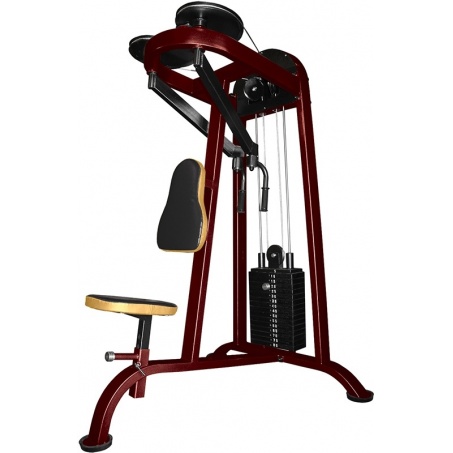 Рендер-0 для ProfiGym ТГ-0040-CР (Rubin) - Задняя дельта