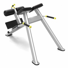 Protrain 61A43 из каталога гиперэкстензий в Екатеринбурге по цене 74040 ₽